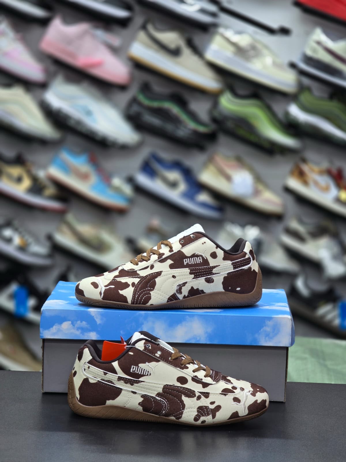 Cow Print Racing Low-Top Sneaker – Cream/Brown